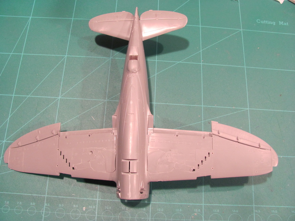 IMG_3525.JPG